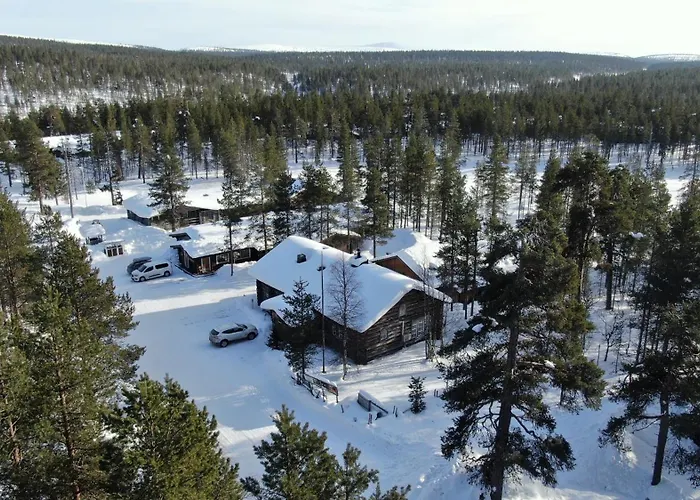 Kuukkeli Hirvas Saariselka